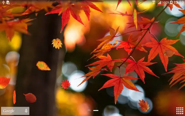 Autumn Leaf Fall Wallpaper android App screenshot 0